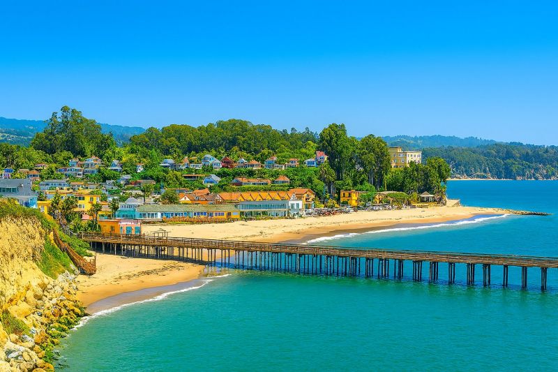 Commercial Tree Service in Santa Cruz County, CA