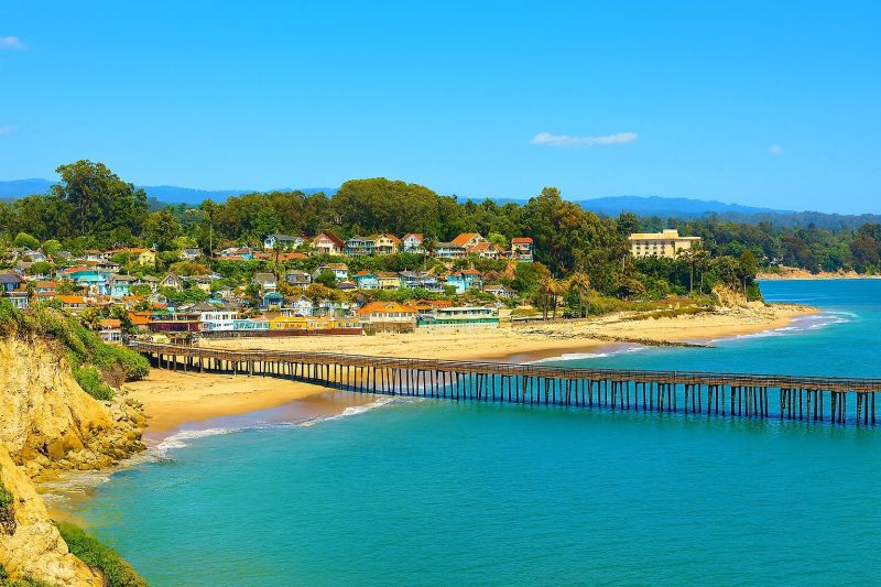 Residential Tree Service in Santa Cruz, CA