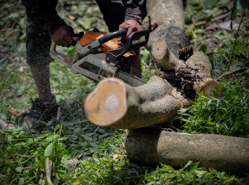 Tree Cutting Service