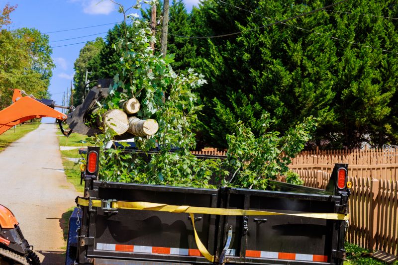 Cost of Tree Limbs Removal in Morgan Hill, CA