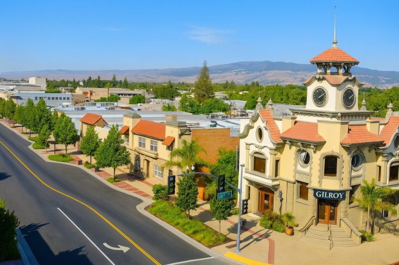Tree Pruning in Gilroy, CA