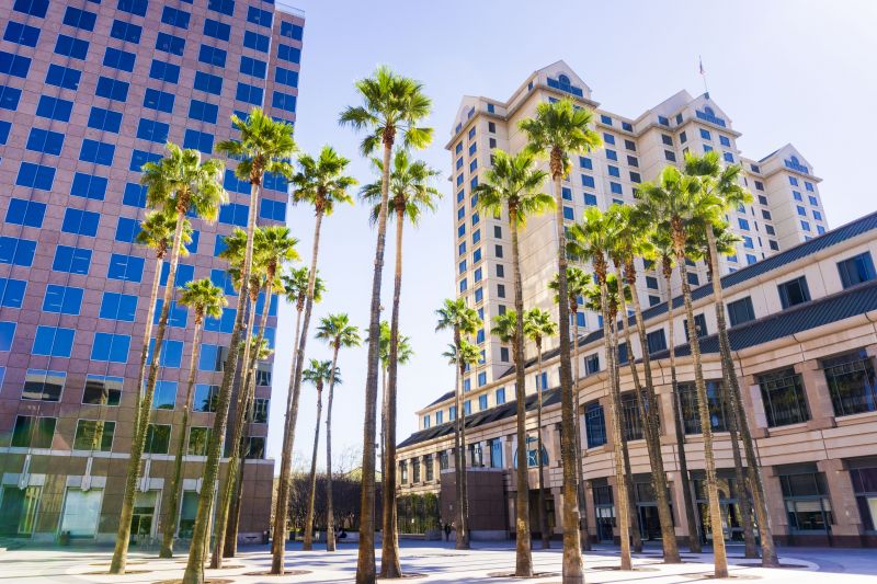 Tree Pruning in San Jose, CA