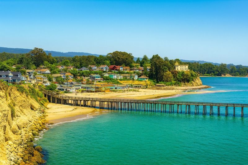 Tree Service in Capitola, CA
