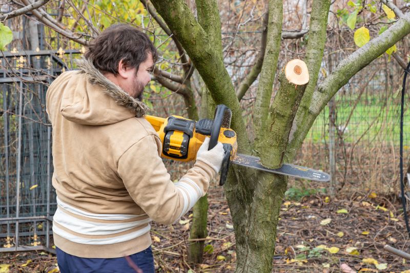 Cost of Tree Trimming Service in Morgan Hill, CA
