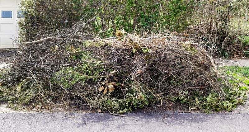 Tree Trimming Services