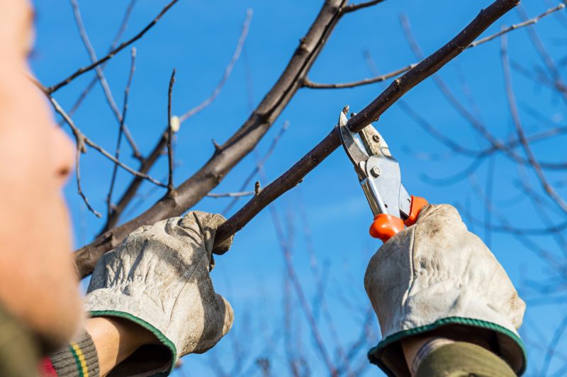 Branches Pruning