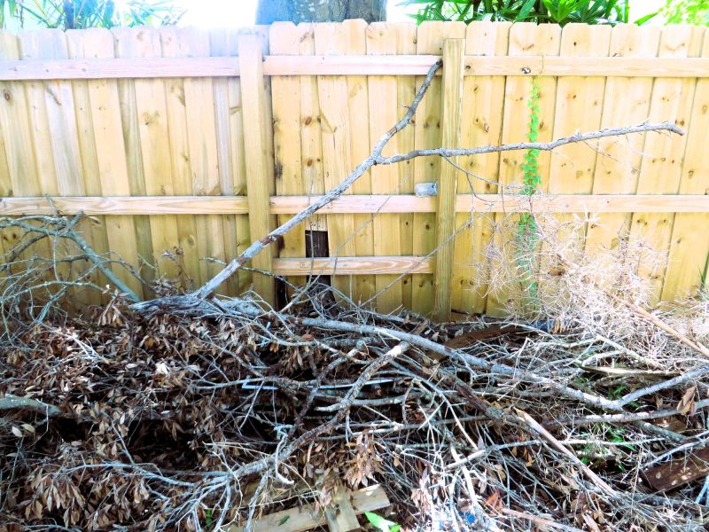 Dead Branch Removal