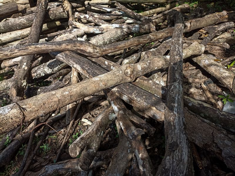 Deadwood Removal