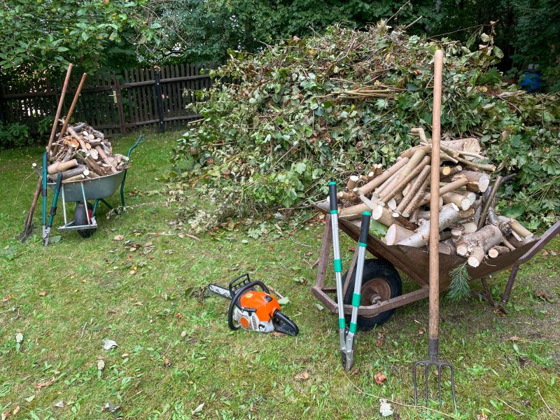 Deadwood Removal