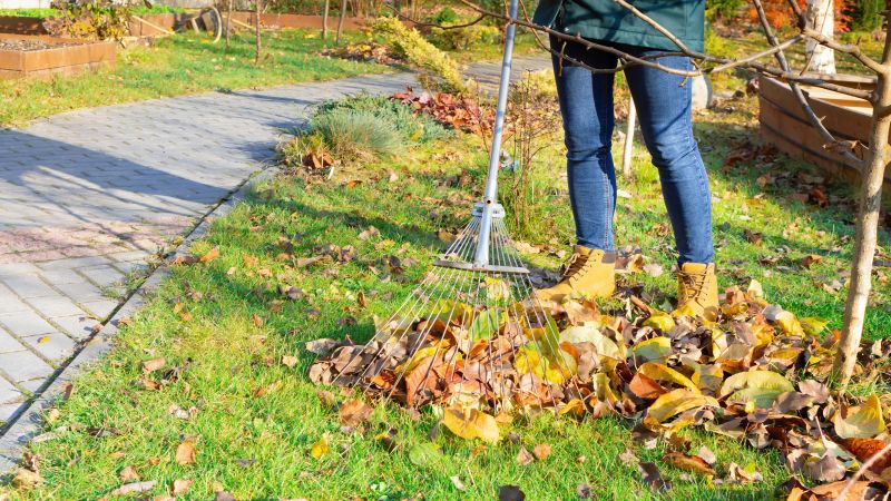 Leaf Raking in Action