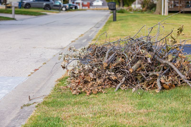 Collecting Leaves