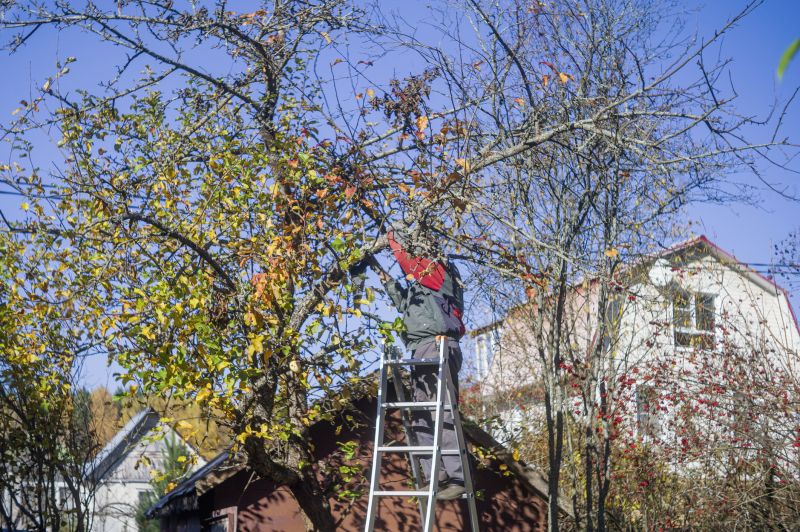 Limbs Trimming detail