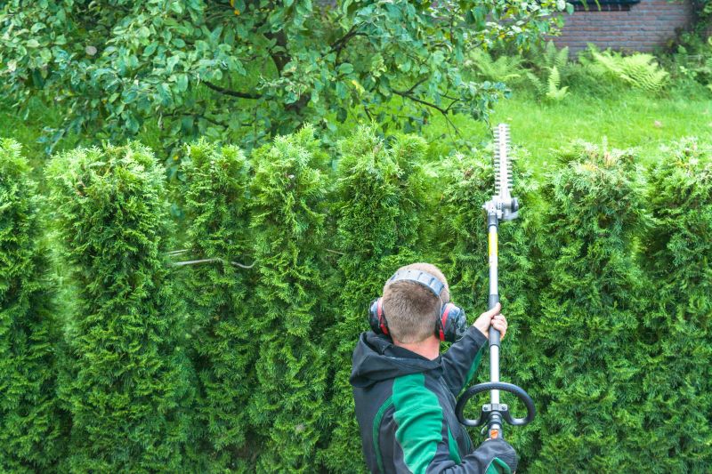 Hickory Tree Trimming