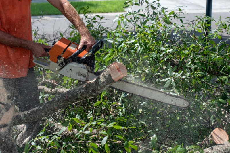 Products For Tree Trimmings in use
