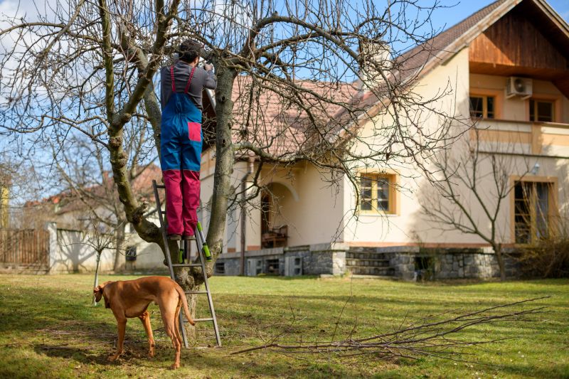 Residential Tree Service