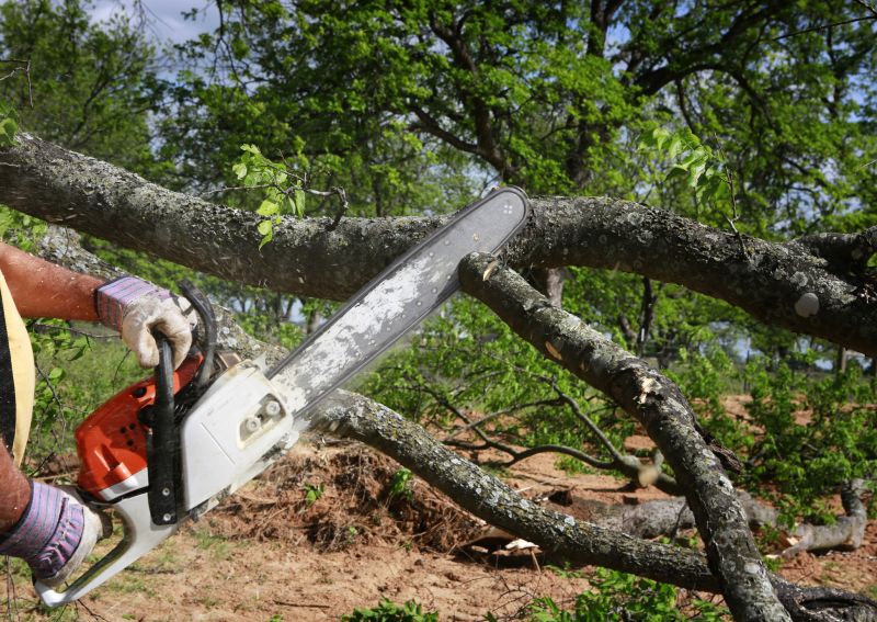 Tree Cutting Service