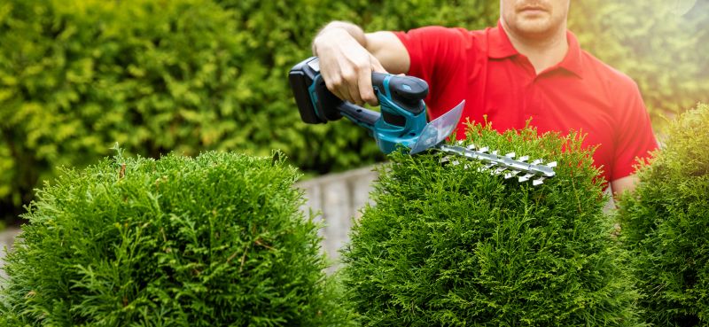 Landscape Tree Care