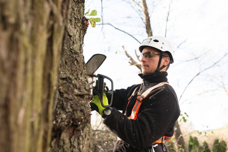 Arborist Equipment