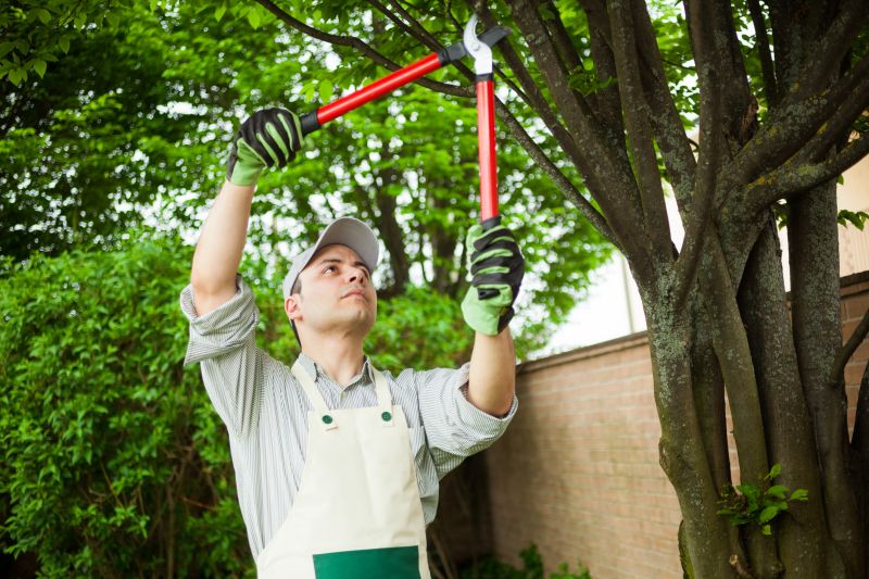 Tree Growth Support